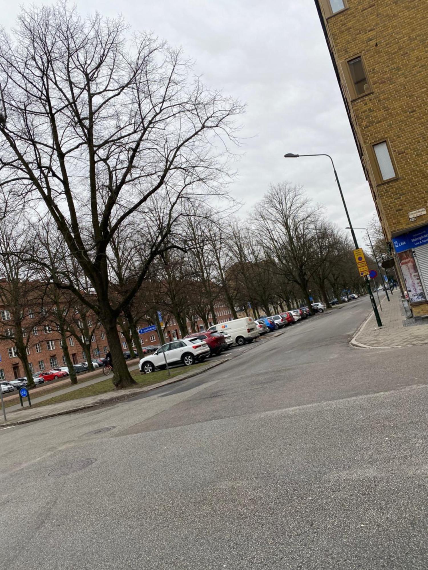 Comfort Appartment In Vaernhem, Malmoe المظهر الخارجي الصورة